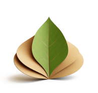 Illustration of Cardboard Leaves